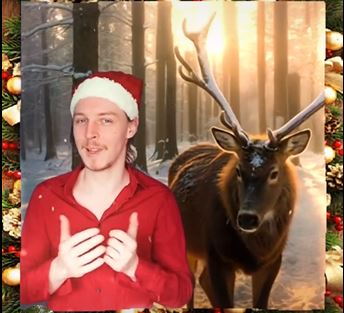 Weihnachtskalender 2025